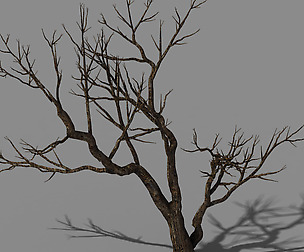 Explore the mountains - dead wood 07