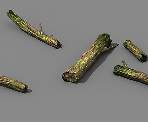mountains - dead wood - green algae - broken 02