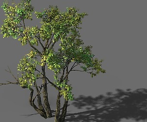 Explore the mountains - grove 01