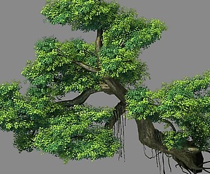 Explore the mountains - Cliff - Tree 01