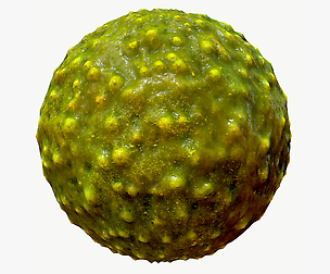 Alien Skin 01 PBR Texture