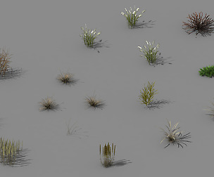 Explore the mountains - plants - weeds