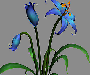 Tian Yin Temple - flowers 01