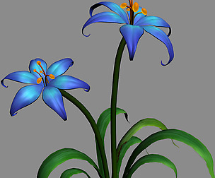 Tian Yin Temple - flowers 03