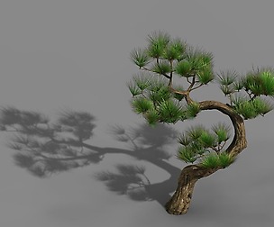Tianyin Temple - Pine 03