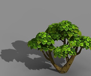 Tianyin Temple - Plant 603