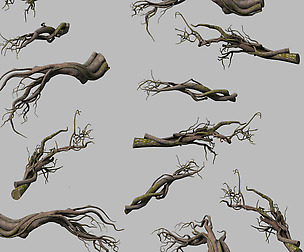 Tongtianhe - plants - climbing vine