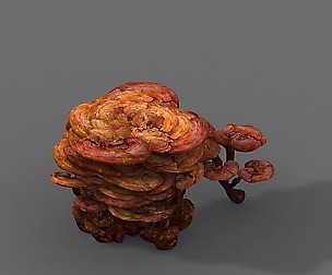 Journey to the West - Ganoderma lucidum