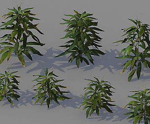 Journey to the West - Bamboo Shrubs 02