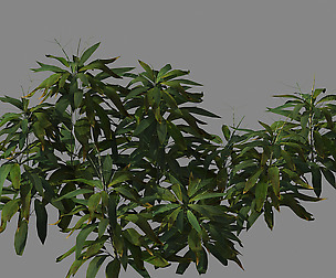 Journey to the West - bamboo shrub 03