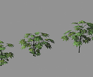 Journey to the West - Bamboo Grove 04