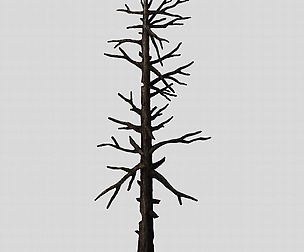 Vampire Sinnar - dead tree 1001