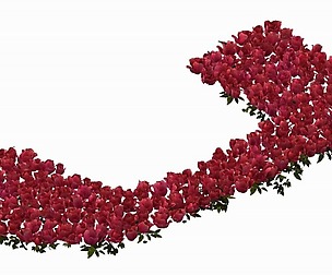 Vampire Warriors Area - Flower Garden 01