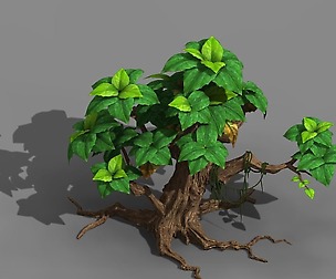 Koike town - plant 02