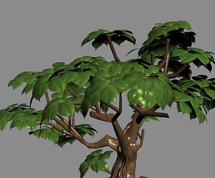 Koike Town - Plant 03
