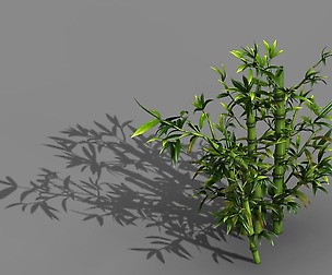 Koike Town - Plant - Bamboo 01