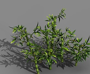 Koike Town - Plant - Bamboo 02
