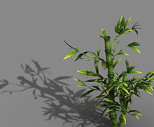 Koike Town - Plant - Bamboo 03