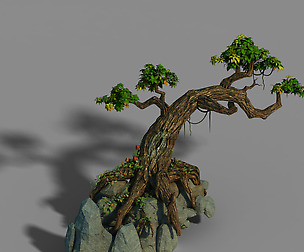 Small bamboo peak - tree 01