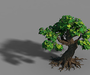 Small bamboo peak - tree 08