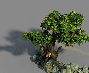 Small bamboo peak - the surface 06