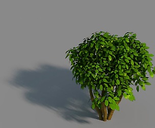 Small bamboo peak - tree 02