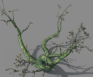 New Village - ornamental tree 01