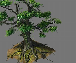 New Village - tree viewing 04