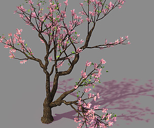 New Village - Peach 01