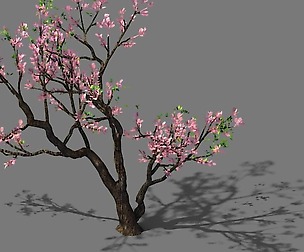 New Village - Peach 03
