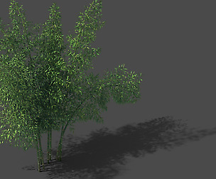 New Village - Bamboo Forest 02