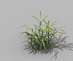 Brutal tribal - grass 03