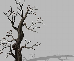 Brutal tribe - withered tree 01