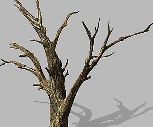 Brutal tribe - dead tree 02