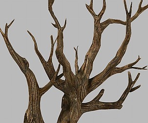 Brutal tribe - dry tree 03
