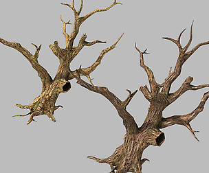 Brutal tribes - dead trees 04
