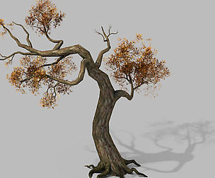 Brutal tribes - dead trees 05