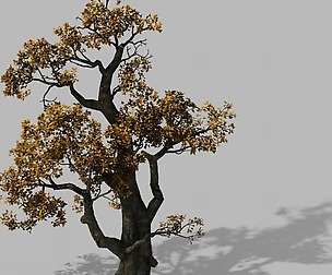 Brutal tribe - tree 16