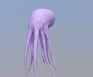 Kraken