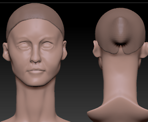 woman anatomy head from 3d scane