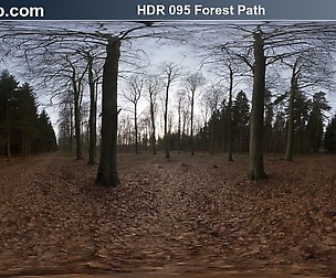 HDRI Hub 095 Forest Path