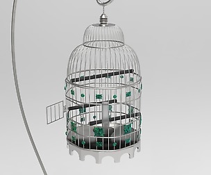 classic birds cage