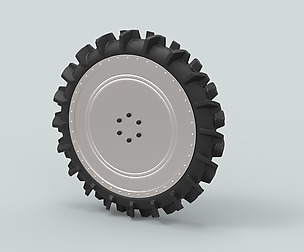 Wheel from swamp buggy