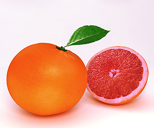 Grapefruit