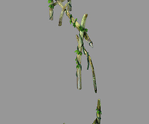 Forgetful Forest - Bamboo Railing 23