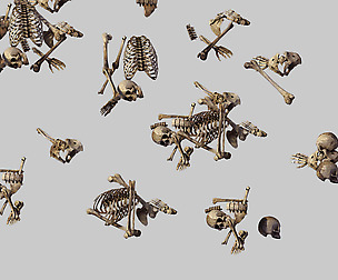 Snowfield Conservancy Road - Skull 02