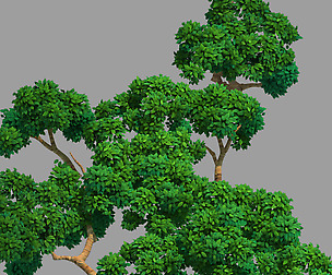 One hundred acres forest-tree 01
