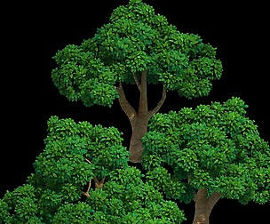 Acre Trees - Trees 04