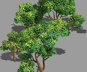 100 acres of forest - small tree 03