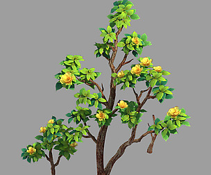 100 acres of forest - small tree 04